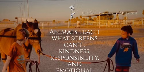 Horse Sense Summer Camp