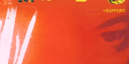 Marmozets - Cambridge