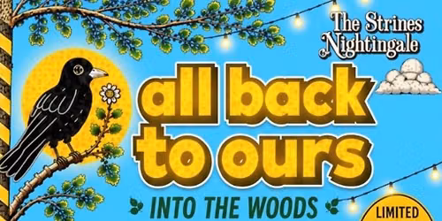 All Back To Ours - Into the Woods - 1 day festival