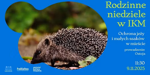 Rodzinna niedziela: Ochrona je\u017cy i ma\u0142ych ssak\u00f3w w mie\u015bcie