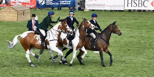 Inter-Hunt Relay - The Final!