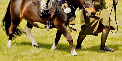 south staffs show