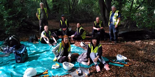Volunteer days: hands-on conservation in Epping Forest (IG10 4AA)