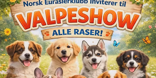 Valpeshow ~ alle raser\ud83d\udc36