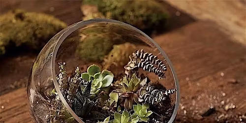 Terrarium Workshop in the Greenhouse