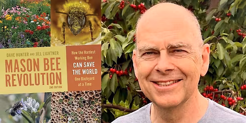 Dave Hunter- Mason Bee Revolution
