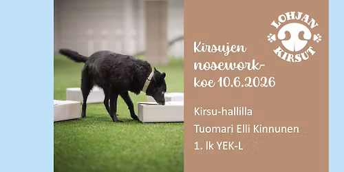 Kirsujen nosework-koe 10.6.