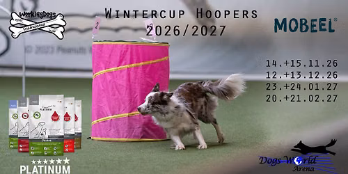 3. Wintercup Hoopers in der DWA 2026\/2027