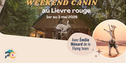 Weekend canin - disque canin avec la Flying Team