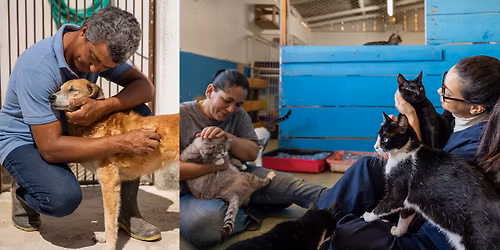 Animal Abuse Leadership Summit 2025