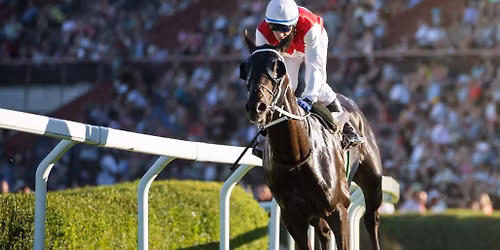 Road to the Derby Day at New Orleans Fairgrounds