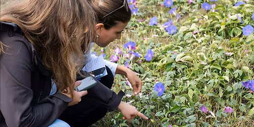 Plantas & Neuroci\u00eancia | Plants & Neuroscience