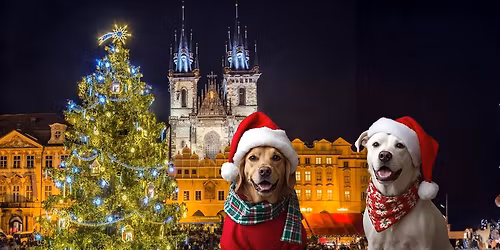 \ud83c\udf84V\u00e1no\u010dn\u00ed charitativn\u00ed st\u00e1nek pro pejsky \u2013 Starom\u011bstsk\u00e9 n\u00e1m\u011bst\u00ed\ud83c\udf84