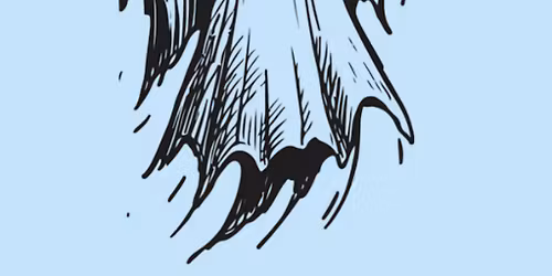 Gothic Fiction & The Female Writer