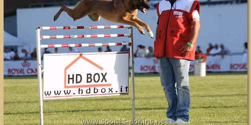 Concours Ring Le Revest 