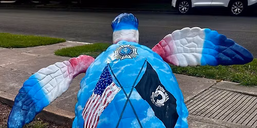 Turtle Trot 5k on the 4th! 