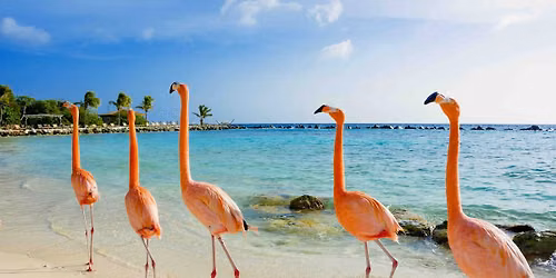 Aruba Reading Retreat