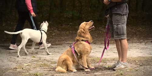 SZCZECIN: Kurs Podstawowe Pos\u0142usze\u0144stwo 