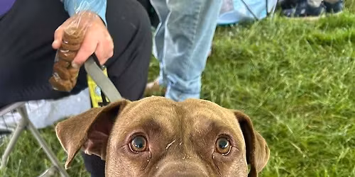 Bowling For A Paws!!