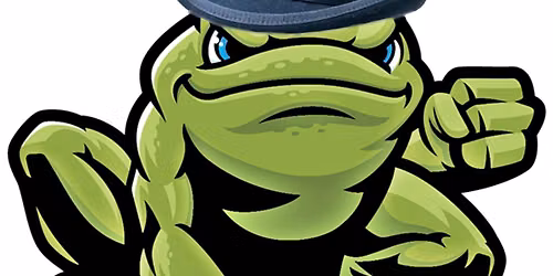 Live Band - The Bullfrogs 