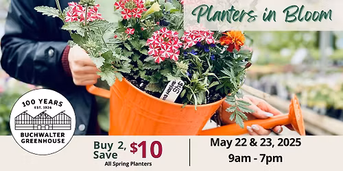 Planters In Bloom: Spring Edition