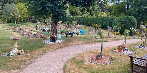 St Faiths Sunflowers Volunteer Morning