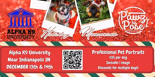 Holiday Pet Portraits at Alpha K9 University 