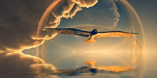 Soul Transparency Celebrating Your New You!