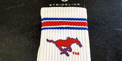 Southern Methodist (SMU) Mustangs vs. Notre Dame Fighting Irish