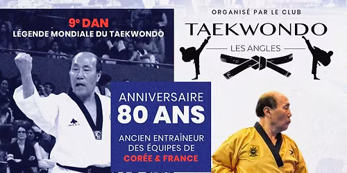 STAGE EXCEPTIONNEL DE TAEKWONDO \u00c0 AVIGNON GRAND MAITRE LEE MOON-HO