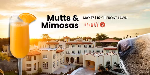 Mutts & Mimosas at the Fenway 