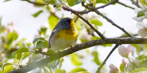 Field Trip: Arcadia Wildlife Sanctuary