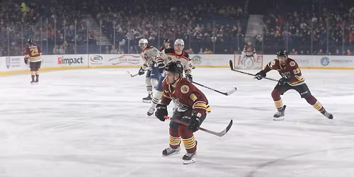 Chicago Wolves vs. Milwaukee Admirals