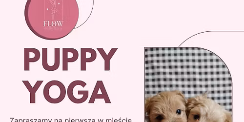 PIERWSZA W MIE\u015aCIE - PUPPY YOGA \ud83d\udc96\ud83d\udc3e