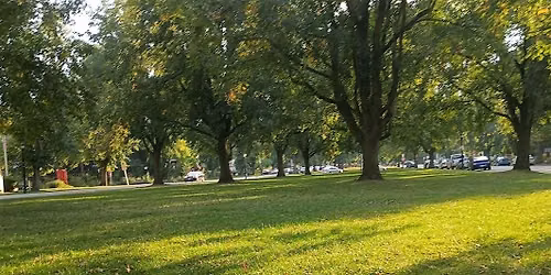 Buffalo October Fine Art & Artisan Market 2026