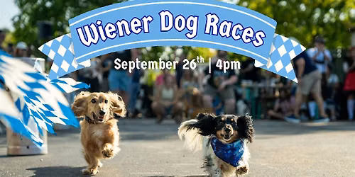 Wiener Dog Races