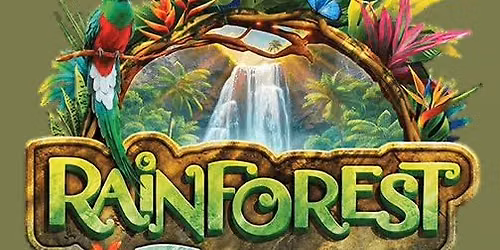 Rainforest Falls VBS