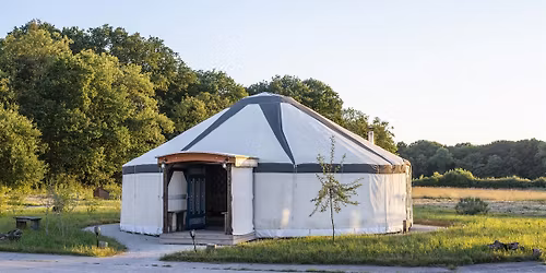 Plant Pilgrim Server: A Journey Through the Celtic Wheel of the Year