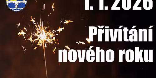 P\u0159iv\u00edt\u00e1n\u00ed nov\u00e9ho roku