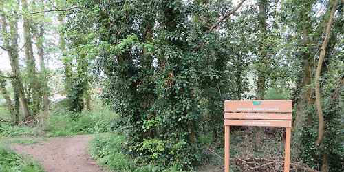 Friday Path Day at Round Wood !