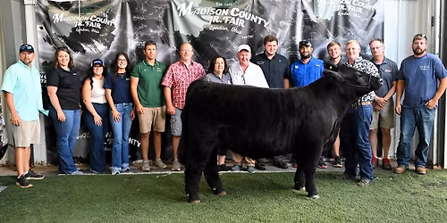 Madison County Market Beef Tag In 