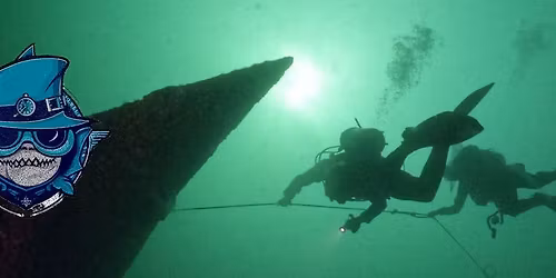 Shore Dive Sundays