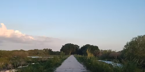 Lakeland Highlands Scrubs 