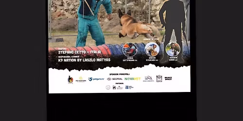 Selec\u021bia Na\u021bional\u0103 Mondioring 2025 - Calific\u0103ri Mondiale 2026 FMBB\/FCI