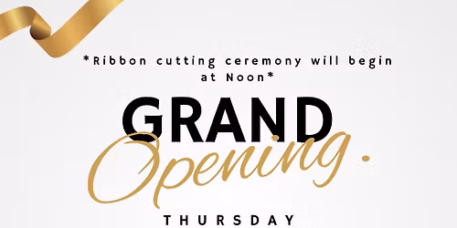 The Beige Bee Boutique GRAND OPENING