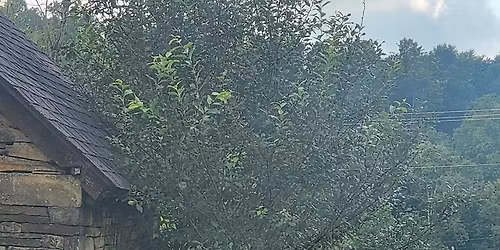 HUGE ESTATE SALE @ 2184 Whites Hill Road