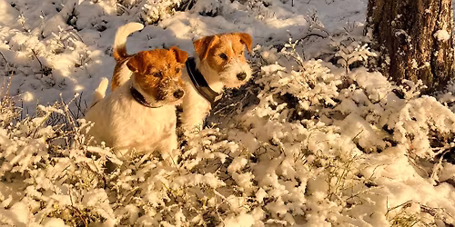 Oppdretterseminar 2025