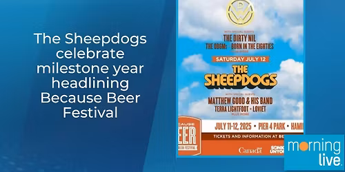 Parking The Sheepdogs