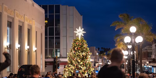 Light up the Night 2025 - Napier's Tree Lighting Ceremony