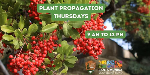 Thursday Plant Propagation: Native Plant Nursery Volunteering